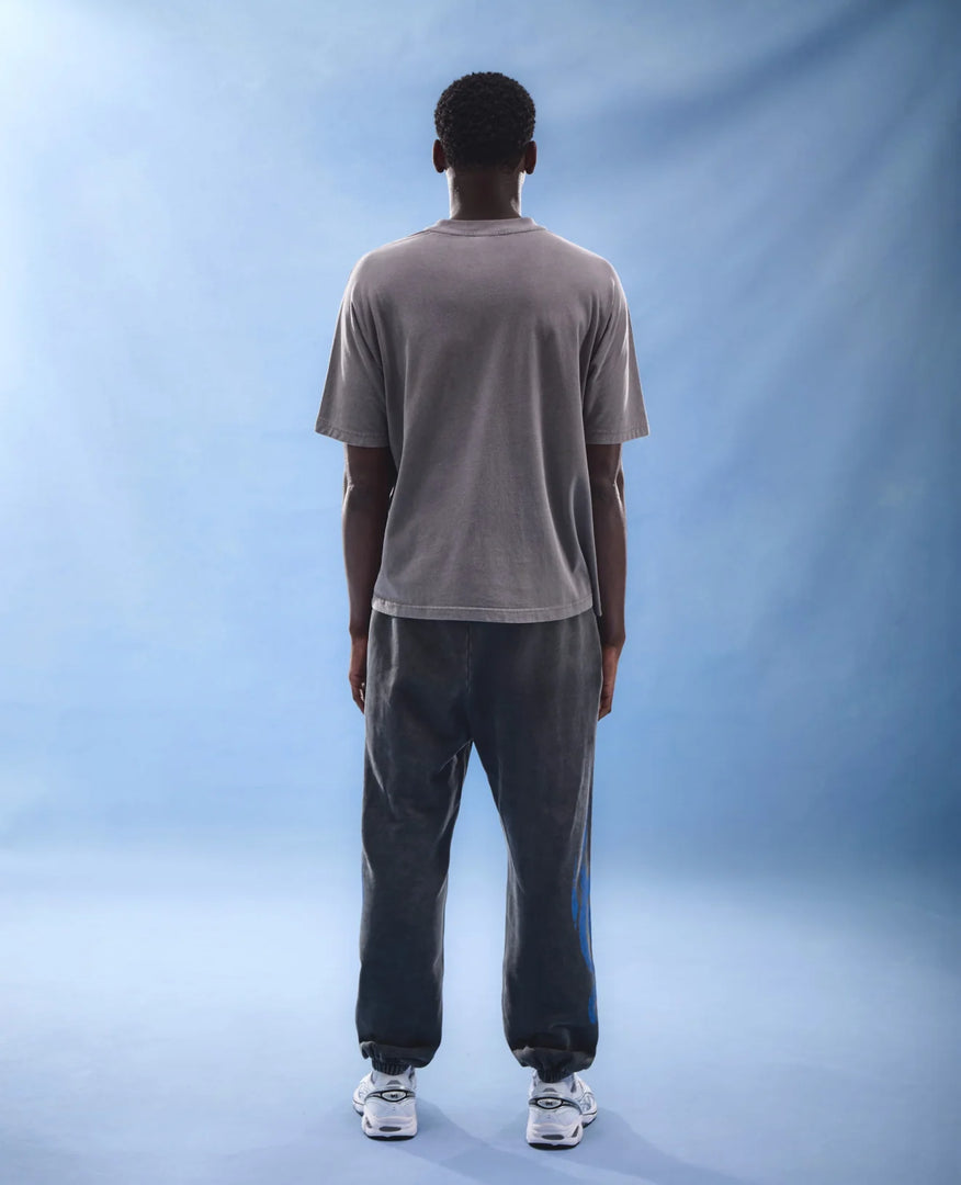 FEARLESS - WASHED GREY T-SHIRT